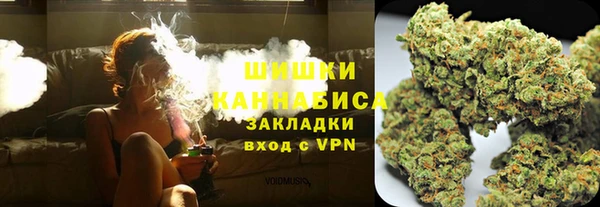 трава Белокуриха