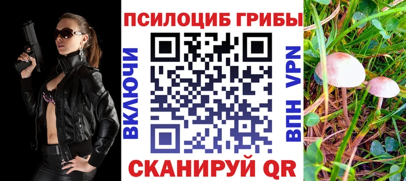 сколько стоит Валуйки OMG ТОР Псилоцибиновые грибы MAGIC MUSHROOMS